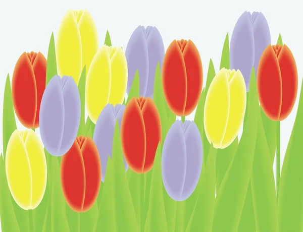 Ramo de tulipanes rojos, amarillos, violetas — Vector de stock