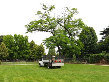 Gardener's truck clipart