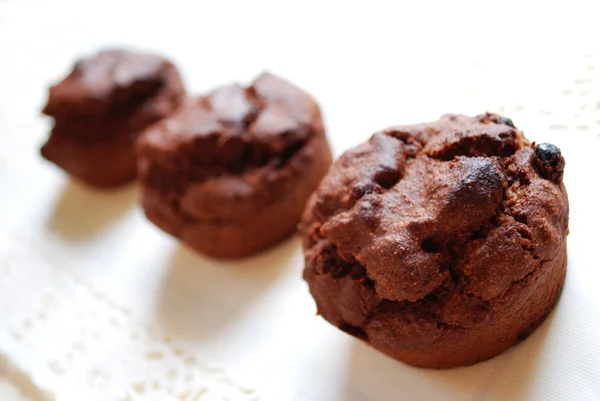 Muffins de ciocolată — Fotografie, imagine de stoc