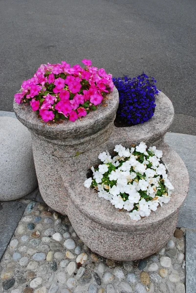 Granite flower pot — Stock Photo, Image