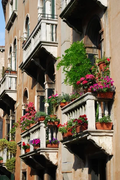 Ramen met balkon en bloemen — Stockfoto