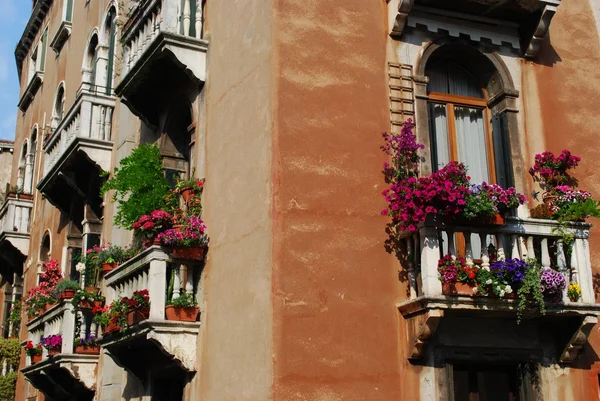 Windows with balcony and flowers — Stock Photo, Image