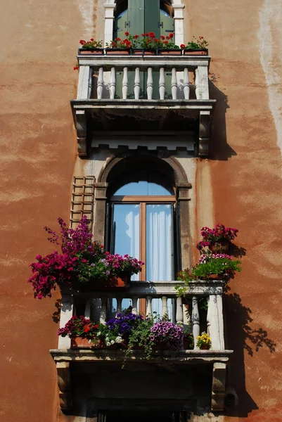 Ventanas con balcón y flores — Foto de Stock