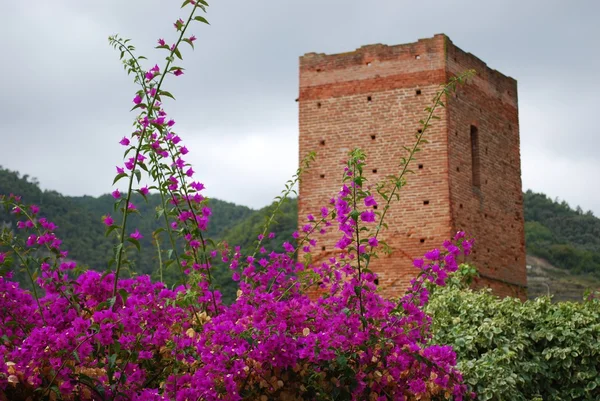 Medieval tower and bougainvillea — Stock Photo, Image