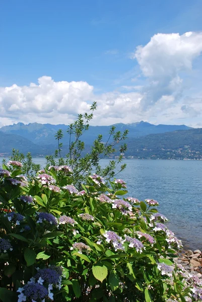 Lake Maggiore — Stock Photo, Image