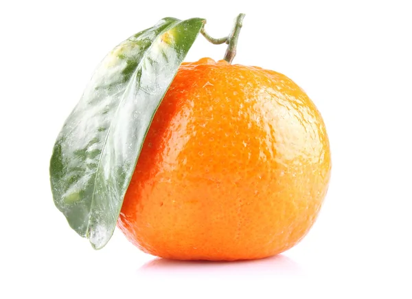 Big mandarin — Stock Photo, Image