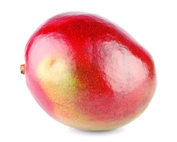 Big mango — Stock Photo, Image