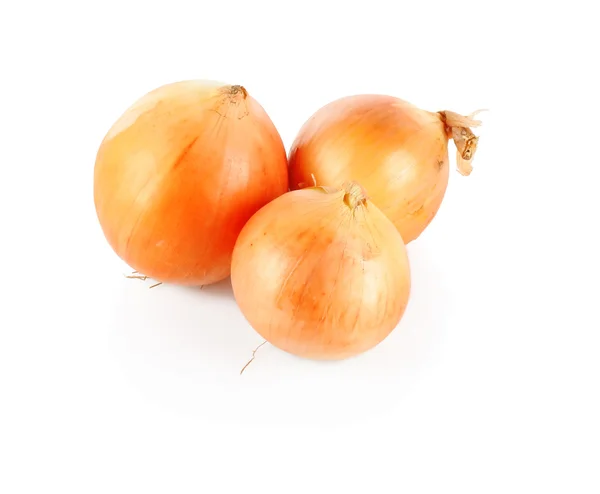 Big onion — Stock Photo, Image