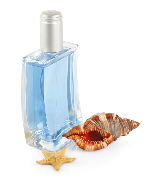 Pánské parfémy & mušle — Stock fotografie