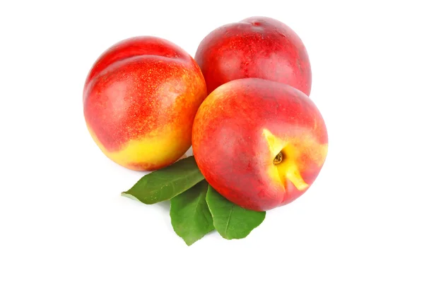 Three fresh peaches — Stock Photo, Image