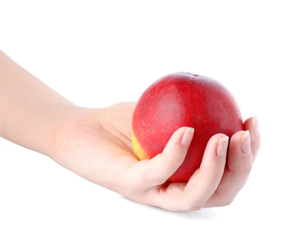 Персики в руке — стоковое фото