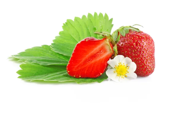 Erdbeere mit Blume — Stockfoto