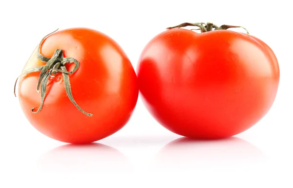 Dos tomates — Foto de Stock