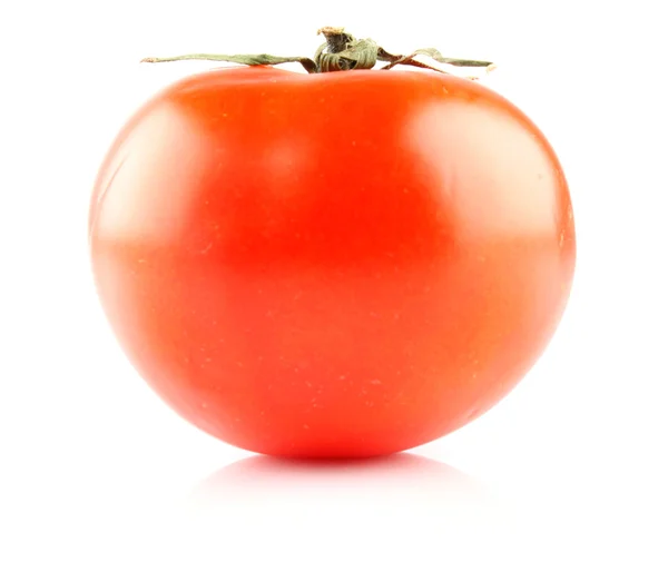 Grote tomaat — Stockfoto