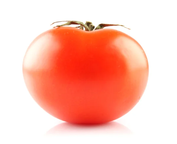 Grote tomaat — Stockfoto
