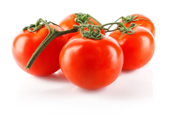 Ramo de tomate — Fotografia de Stock