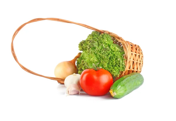 Vegetable composition — Stock Photo, Image