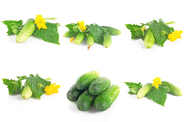 Set of cucumbers — Stock Photo, Image