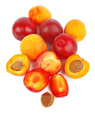 Apricots and plums