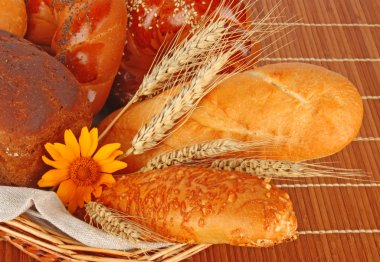 Composition of fresh bread