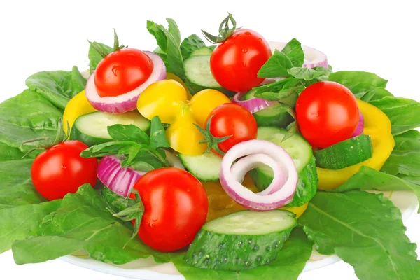 Salad fresh — Stock Photo, Image