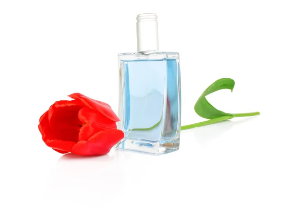 Parfémy a Tulipán — Stock fotografie