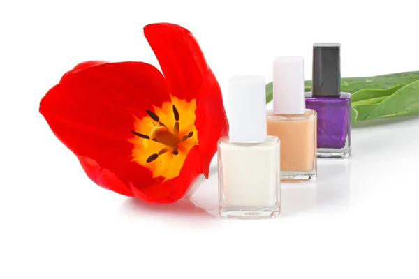 Nail polishes and tulip — Stok fotoğraf