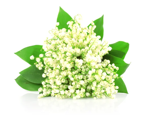 Lilies of valley — Stock Photo, Image