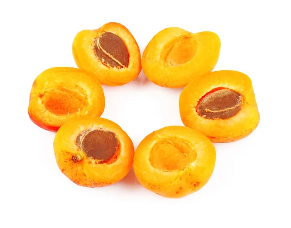 Apricots in round — Stock Photo, Image