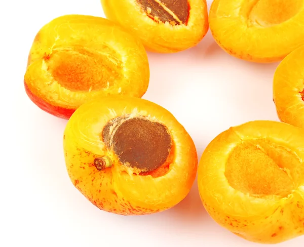 Apricots in round — Stock Photo, Image