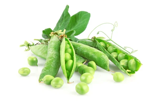 Fresh green pea in pod — Stock Photo, Image