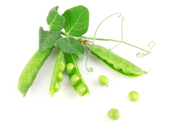 Fresh green pea in pod — Stok fotoğraf
