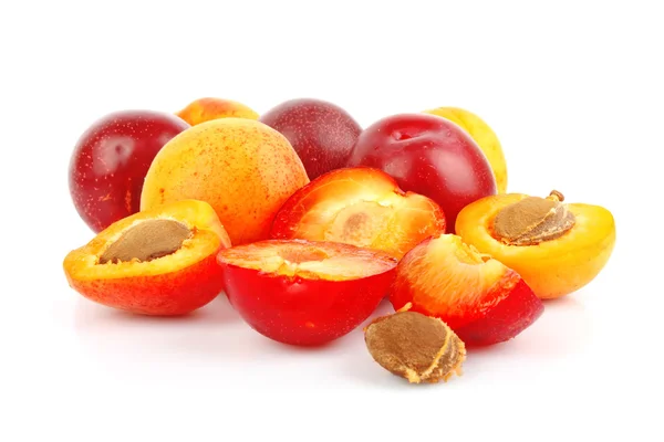Apricots and plums — Stock Photo, Image