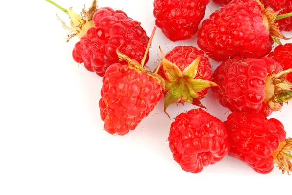 Raspberry composition — Stock Photo, Image