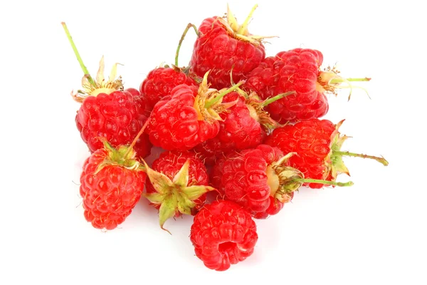 Raspberry composition — Stok fotoğraf