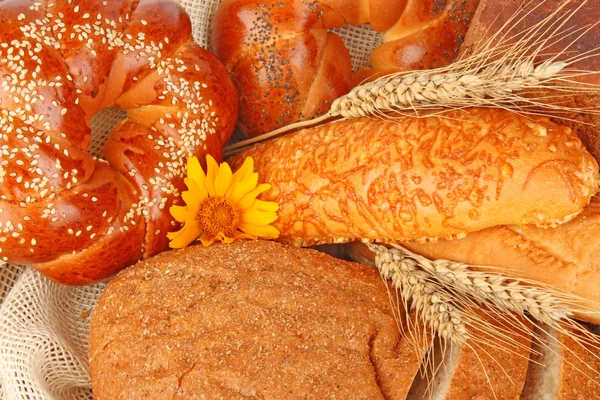 Composition of fresh bread — Stock Photo, Image