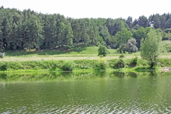 Landschap met rivier — Stockfoto
