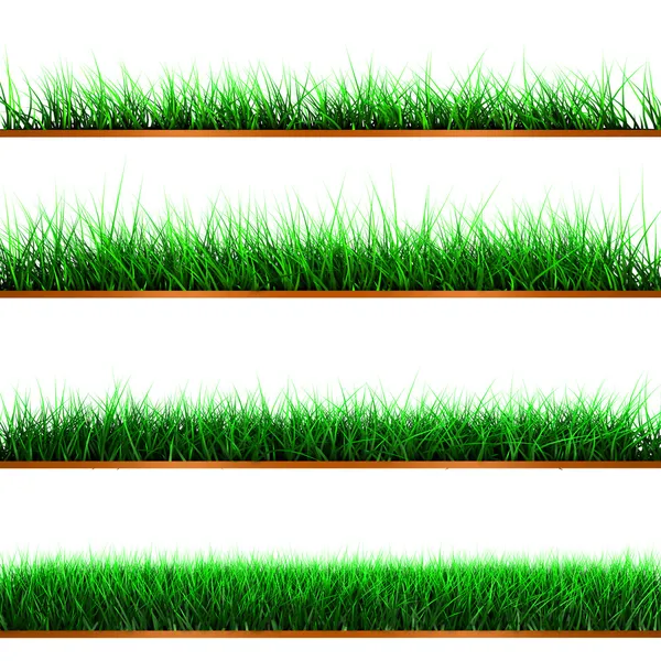 Samples of green color grass — Stock Photo, Image