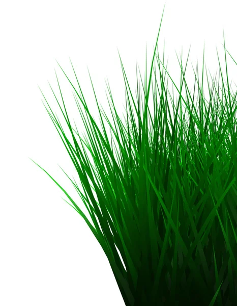 Trawa zielony kolor na białym tle — Zdjęcie stockowe