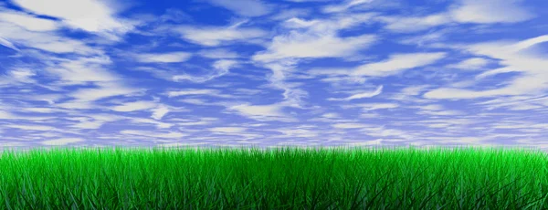 Grüne Farbe Gras — Stockfoto