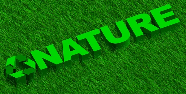 Palabra de la naturaleza sobre hierba verde — Foto de Stock