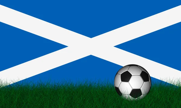 푸른 잔디 위에 축구공 — 스톡 사진