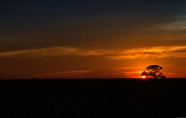 Пейзаж с горячим закатом над — стоковое фото