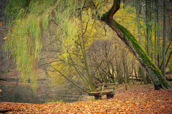 Teich im Herbstpark lizenzfreie Stockbilder