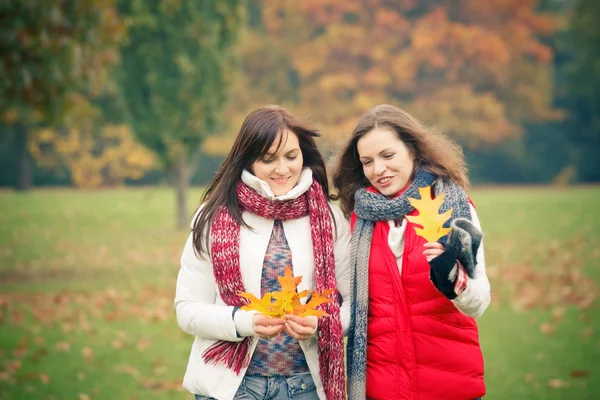 Sonbahar parkta yürüyen iki genç kadın — Stok fotoğraf