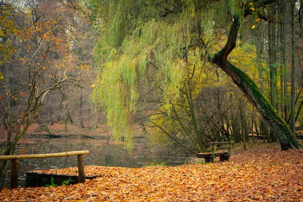 Teich im Herbstpark lizenzfreie Stockfotos