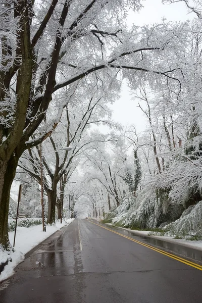 Invierno en Washington DC —  Fotos de Stock