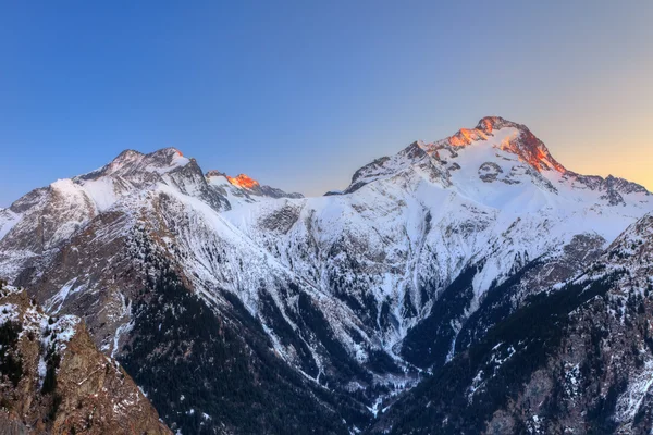 Picchi alpini — Foto Stock