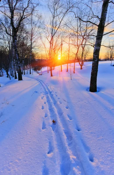 Pista da sci in campagna al tramonto — Foto Stock
