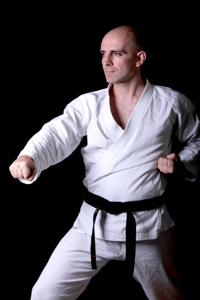 stock image Karate